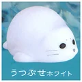 Face Down White