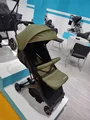 Green C8 243