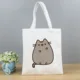Pusheen7-PJM 18