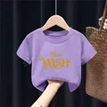 DSN 493 purple