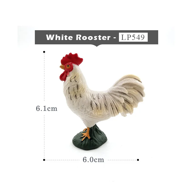 White Rooster