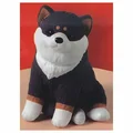 black Shiba Inu