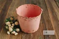 Photography Bucket2