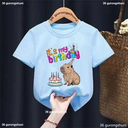Camiseta infantil capibara – Diseño pastel cumpleaños niños