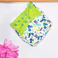 CP17 cloth diaper