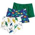 3pcs Dinosaur 13