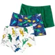 3Pcs Boxers Dinos 2