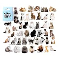 45pcs