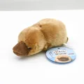 brown Platypus