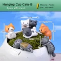 Hanging Cat B