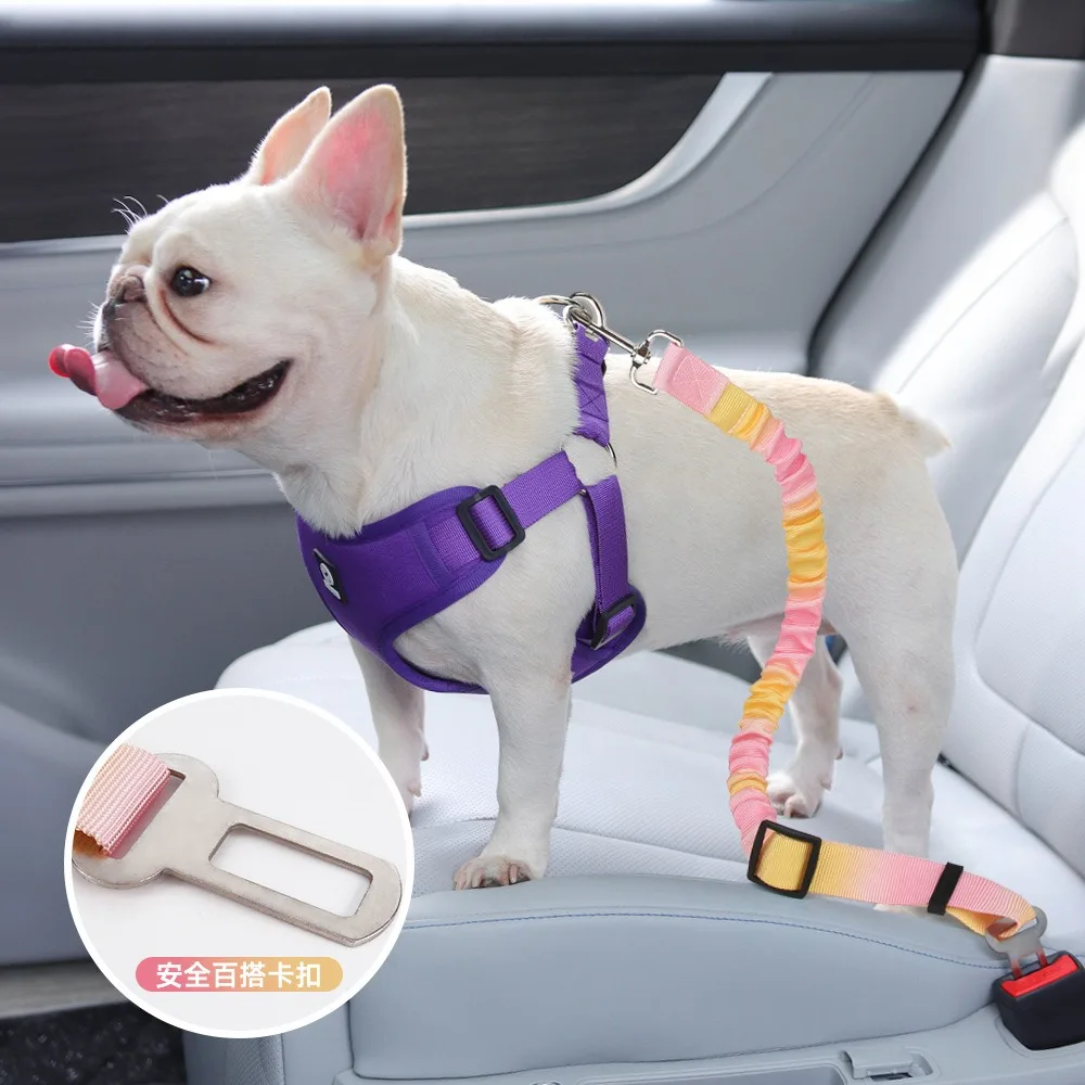 Correa retráctil para perro con Collar, 2 unidades/juego, cinturón de seguridad ajustable para coche, elástico duradero para masticar, seguro para viajes de mascotas - imagen 4