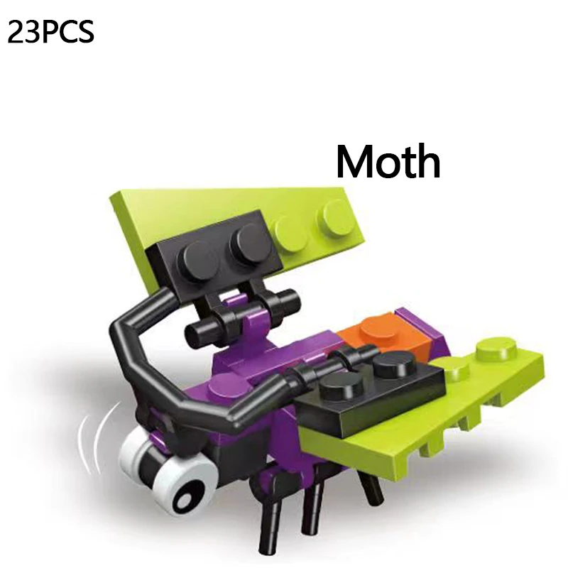 moth