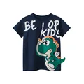 btdt8176 navy