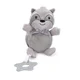 Raccoon