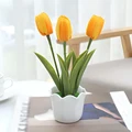 Y