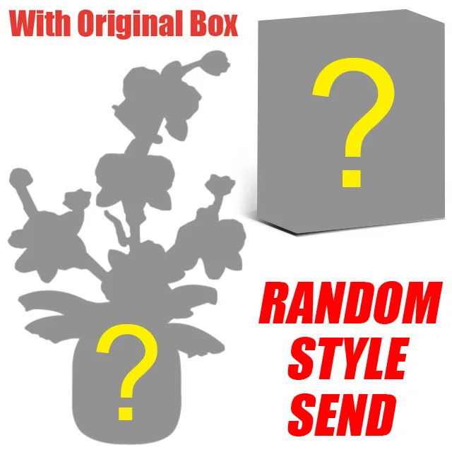 Random With Box