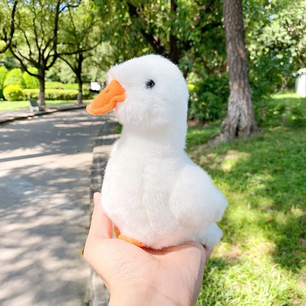 White Duck