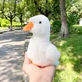 White Duck