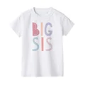 big sis 2