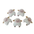 5PCS