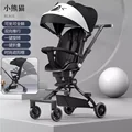 Little Panda