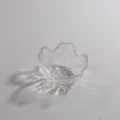 transparent