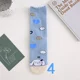 Cinnamoroll 04