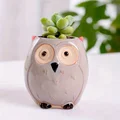 Owl B