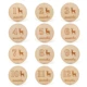 B-12Pcs