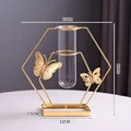 butterfly hexagon