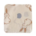 BUNNY rabbit