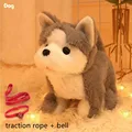 Huskies