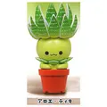 Aloe Tiki