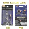 HALFLING CLERIC