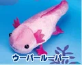 Axolotl