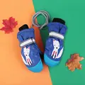 blue-fox
