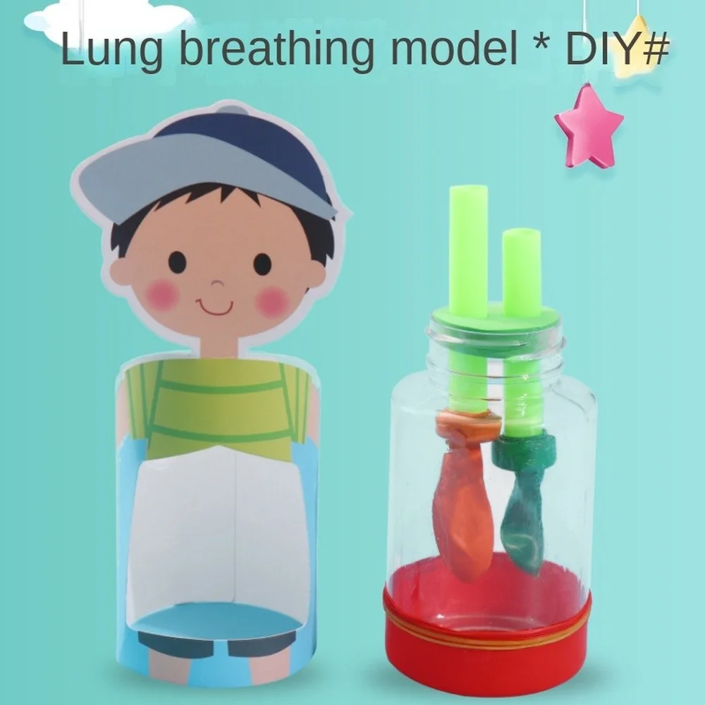 Modelo respiración - Vista principal completa