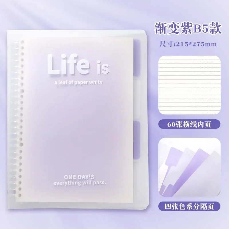 B5 life Purple
