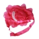 rose red   