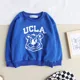 blue hoodie