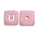 10pcs U