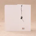 cicada 5