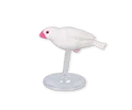 white bird gliding