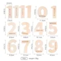1 Set 14PCS