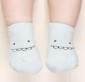 teeth(1-3T)