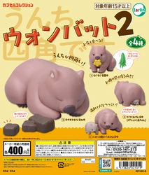 Tarlin cápsula juguetes kawaii patas cortas gris wombat 2 con bebé poo comiendo dormir figuras de gasha de animales de compañía raras australianas