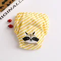 Yellow Raccoon