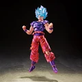 Son Goku