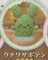 Prickly pear cactus