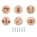 insect
